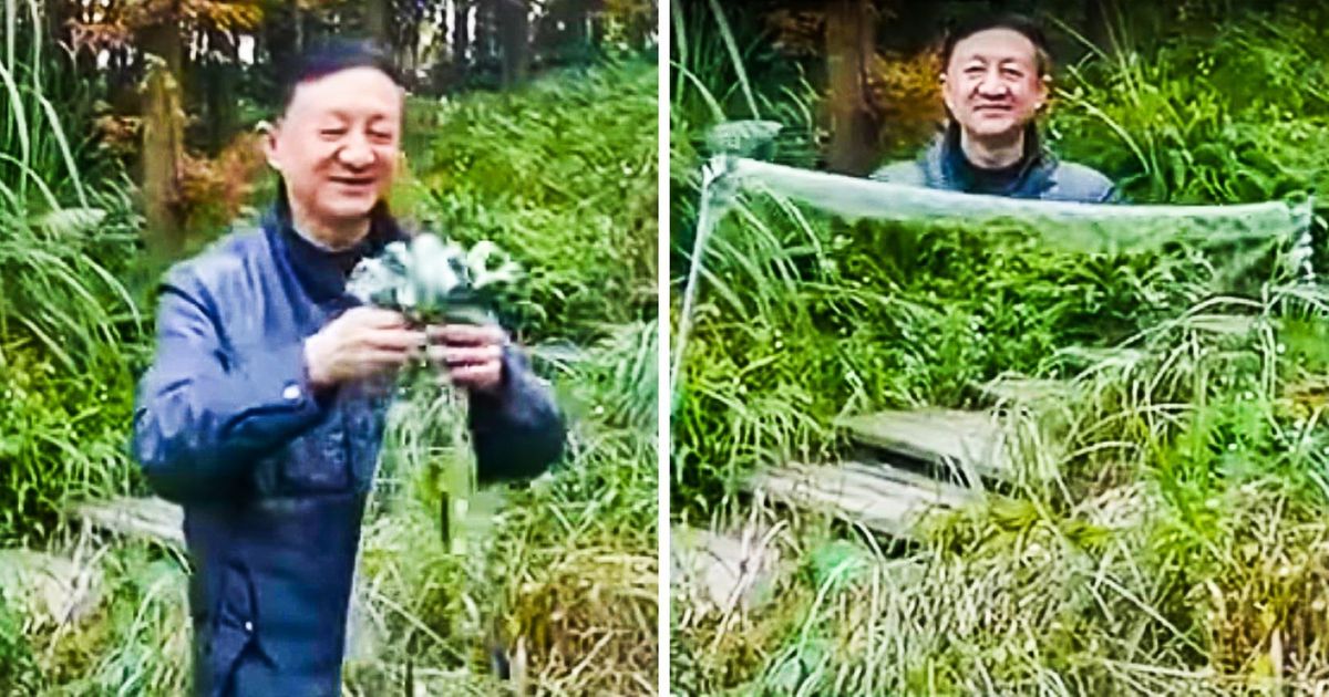 Espantoso: chineses criam o manto da invisibilidade