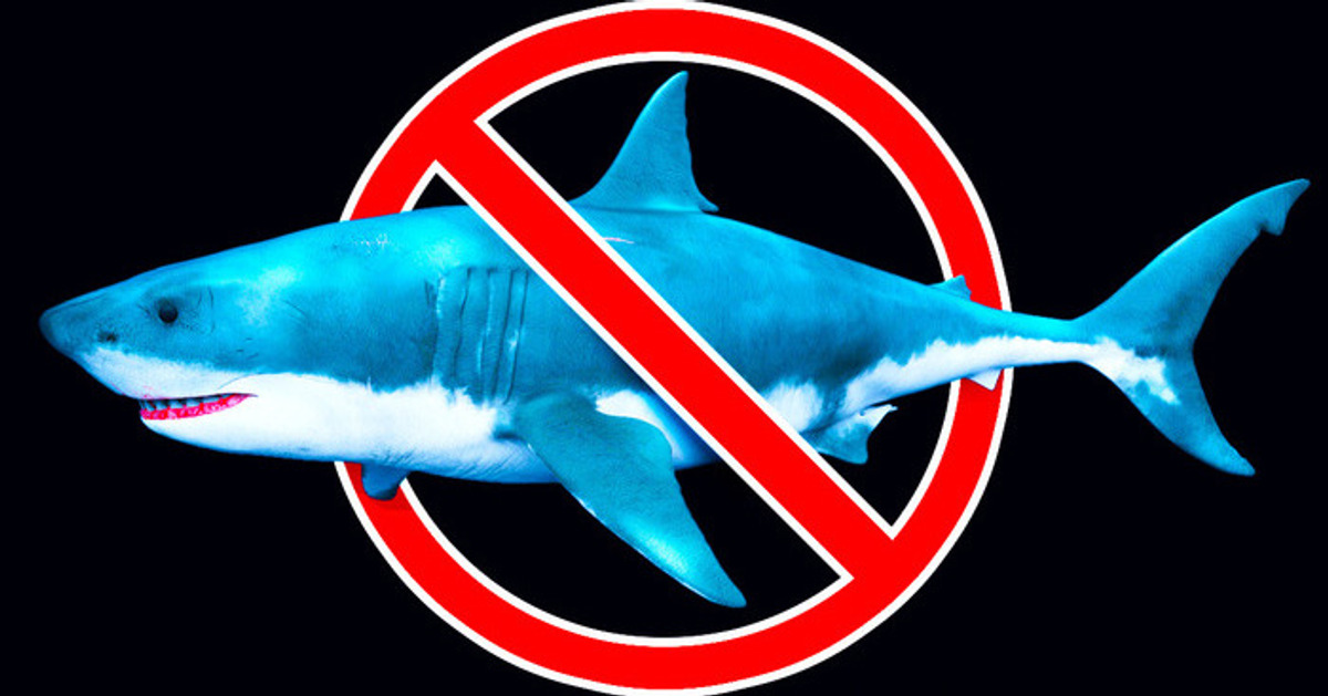 O que realmente acabou com o megalodonte