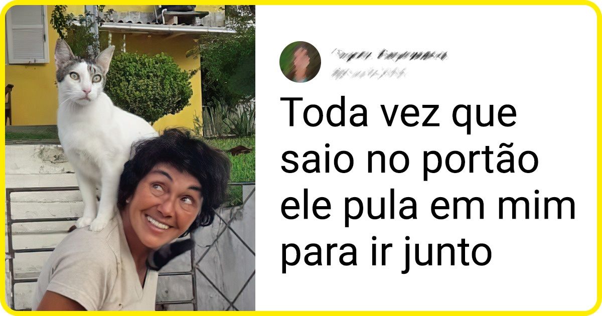 16 Animais com gostos peculiares e que fazem só o que têm vontade 16 Animais com gostos peculiares e que fazem só o que têm vontade