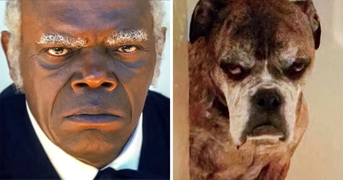 Fotos mostram como o ser humano e os animais podem ser parecidos
