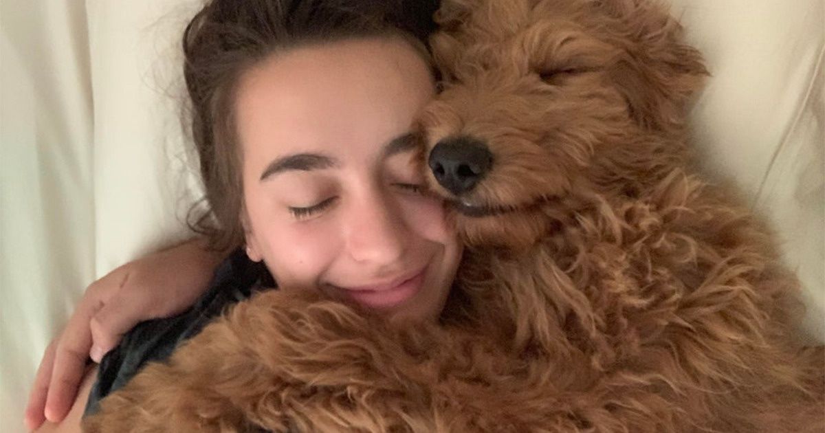 Ter um cachorro deixa seu coração mais saudável, garante a ciência Ter um cachorro deixa seu coração mais saudável, garante a ciência