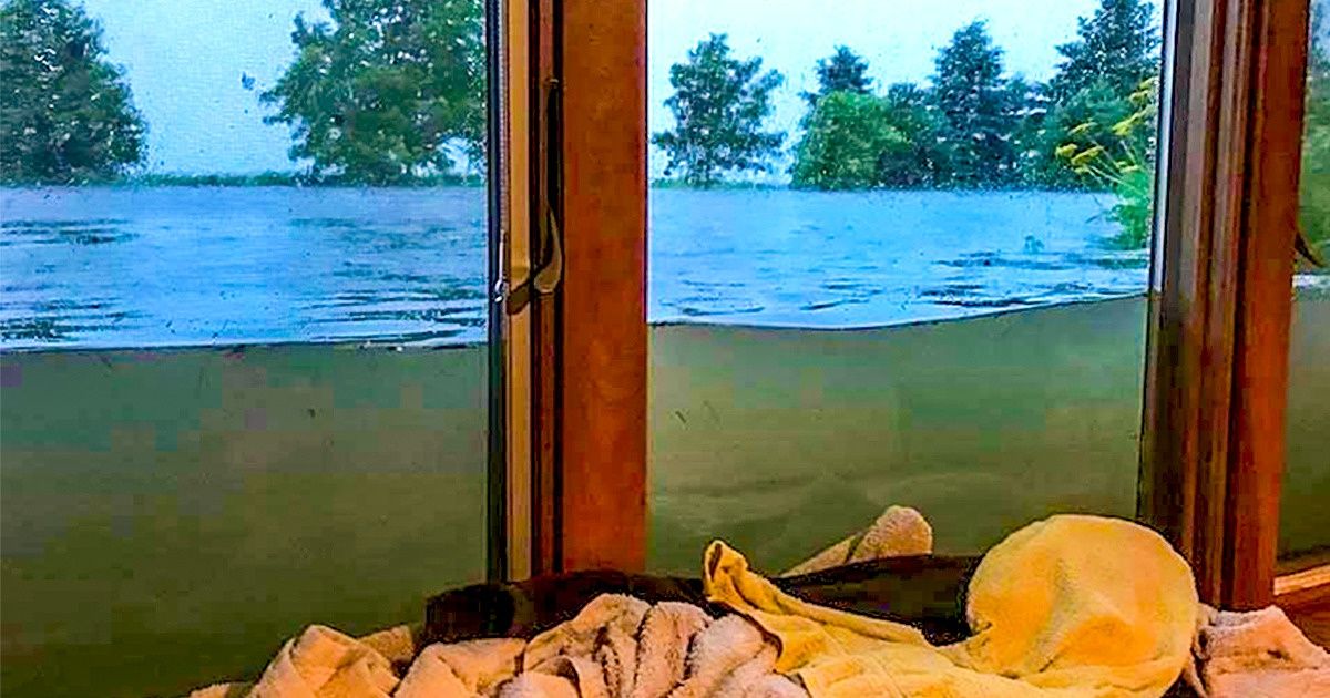 19 Fotos para quem não perdeu a capacidade de se maravilhar