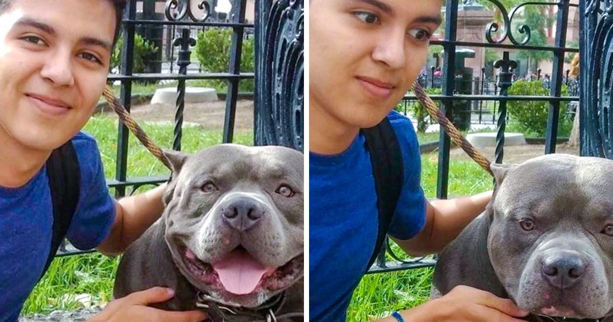 16 Situações engraçadas em que algo não saiu como o planejado 16 Situações engraçadas em que algo não saiu como o planejado