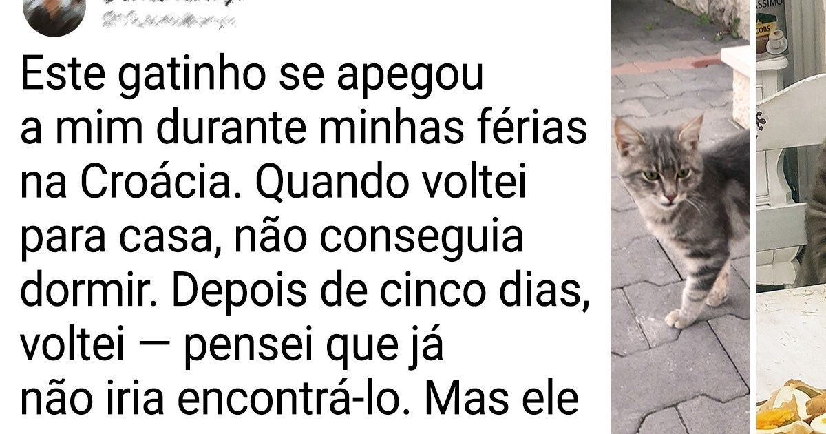 15+ Gatinhos que ajudaram o destino a encontrar a pessoa certa para eles 15+ Gatinhos que ajudaram o destino a encontrar a pessoa certa para eles