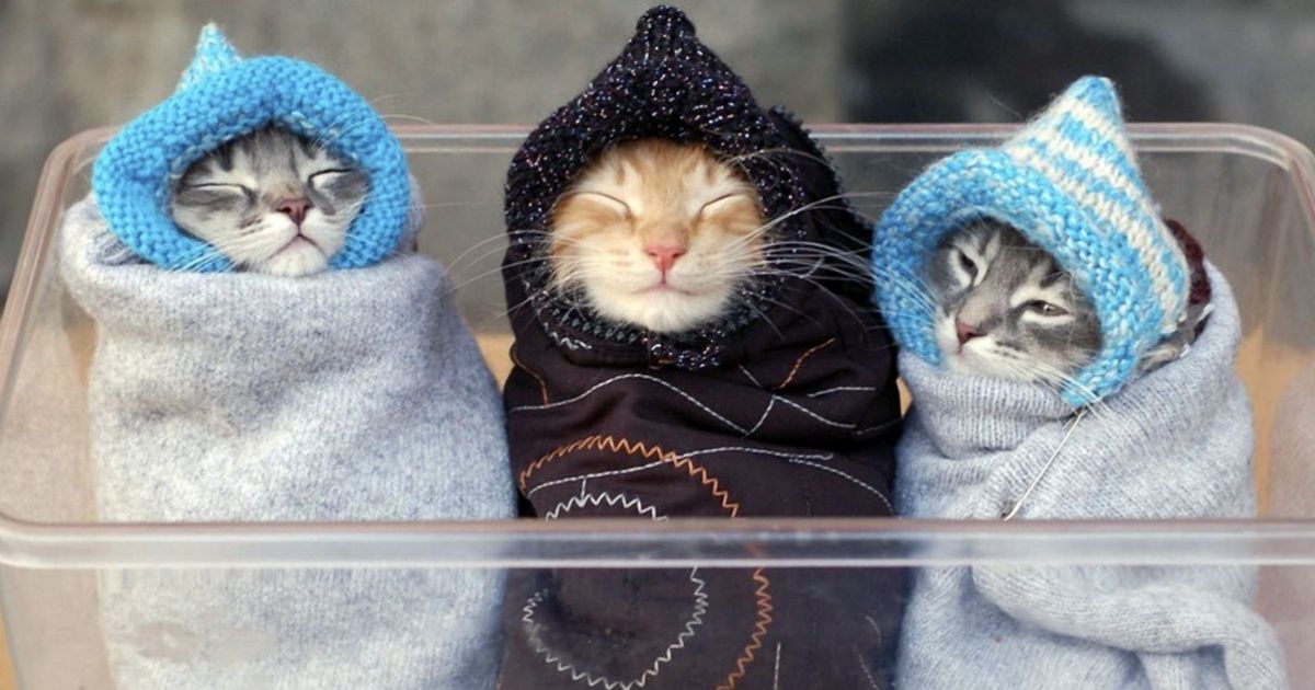 15 Fotos para aquecer no inverno ou num dia chuvoso