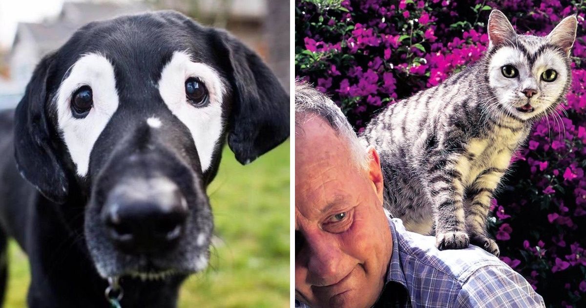 21 Animais que foram desenhados pela natureza de um jeito único 21 Animais que foram desenhados pela natureza de um jeito único
