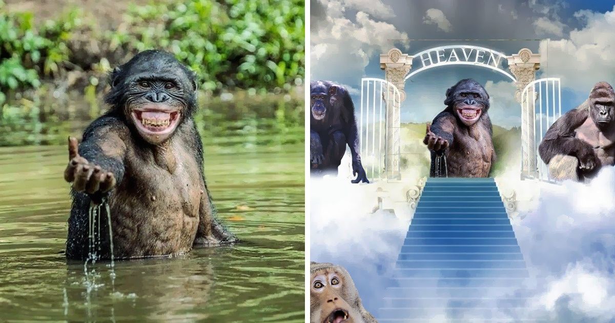 15+ Gênios do Photoshop fazem imagens engraçadas ficarem ainda mais hilárias (nova seleção)
