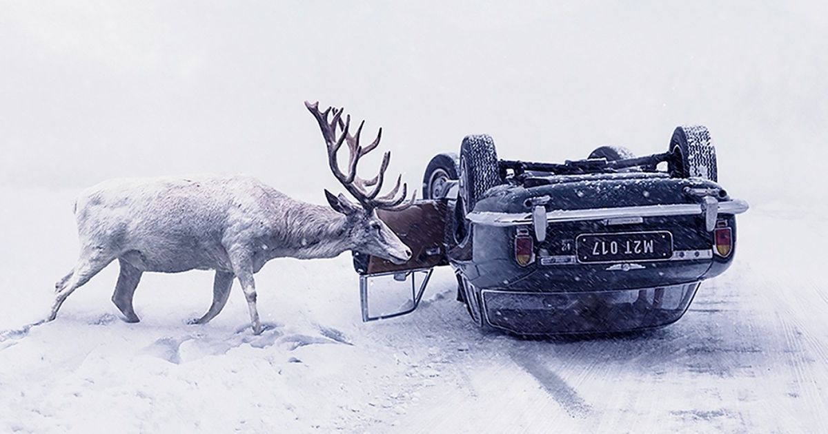 16 Vencedores de um dos principais concursos de fotos do mundo