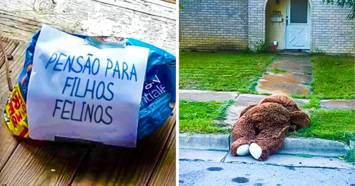 16 Provas de que ter um vizinho pode ser muito divertido
