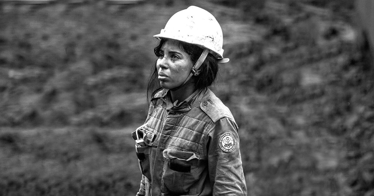 Por que os bombeiros de Brumadinho merecem o prêmio Nobel da Paz