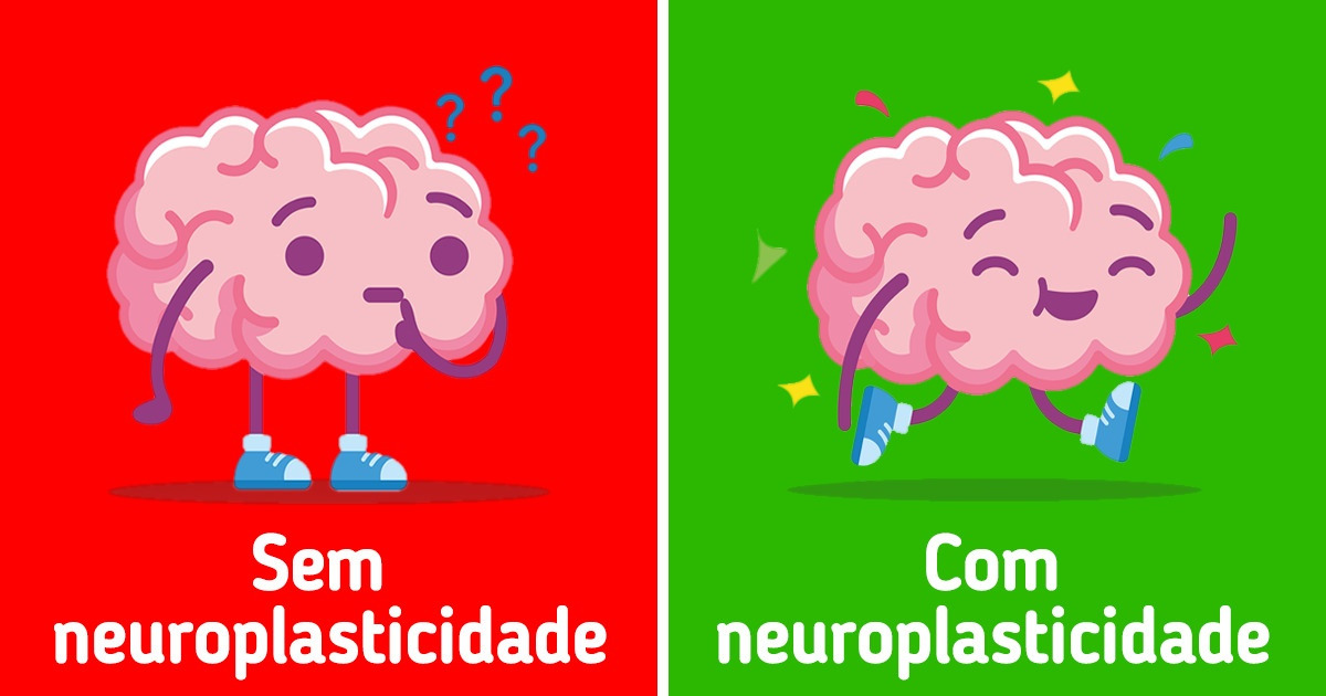 Por que é tão importante continuarmos aprendendo, mesmo na vida adulta Por que é tão importante continuarmos aprendendo, mesmo na vida adulta