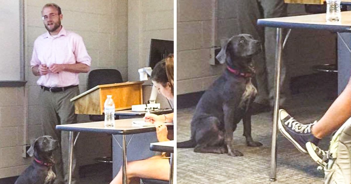 25 Professores maravilhosos que merecem um verdadeiro prêmio 25 Professores maravilhosos que merecem um verdadeiro prêmio