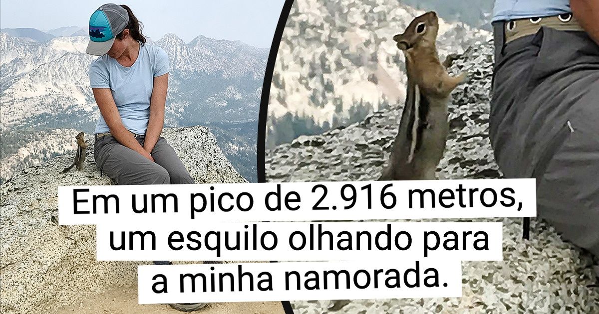 20 Animais que vieram dizer um “oi” em um lugar e hora inesperados