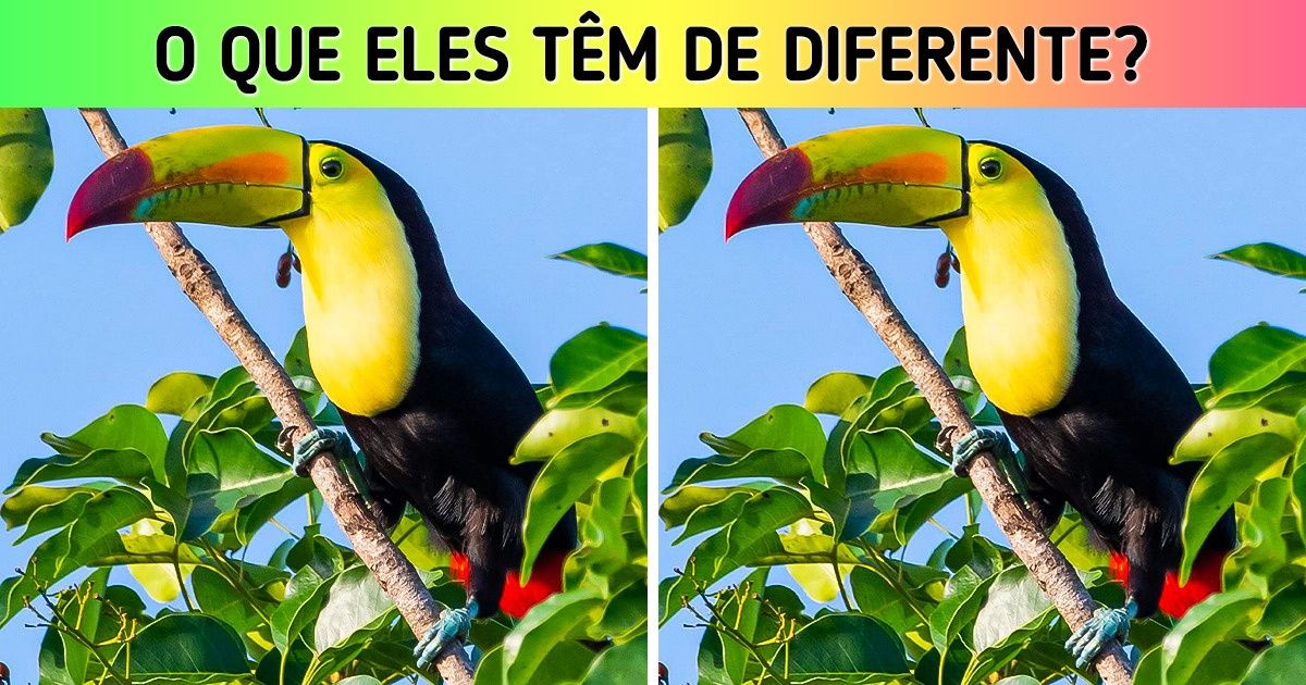 Teste: Coloque à prova sua atenção aos detalhes