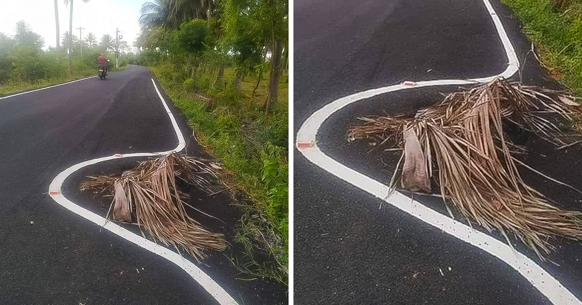 19 Serviços que não saíram exatamente como o esperado, mas renderam muitas risadas 19 Serviços que não saíram exatamente como o esperado, mas renderam muitas risadas