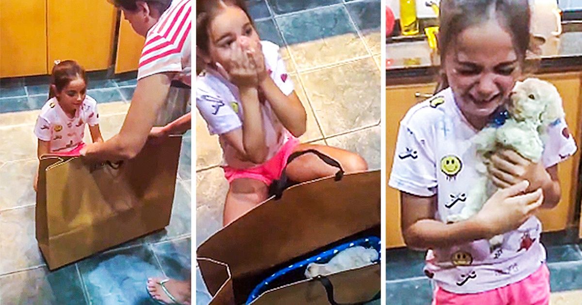 23 Provas de que, para a criança, um cão vale mais que qualquer tecnologia