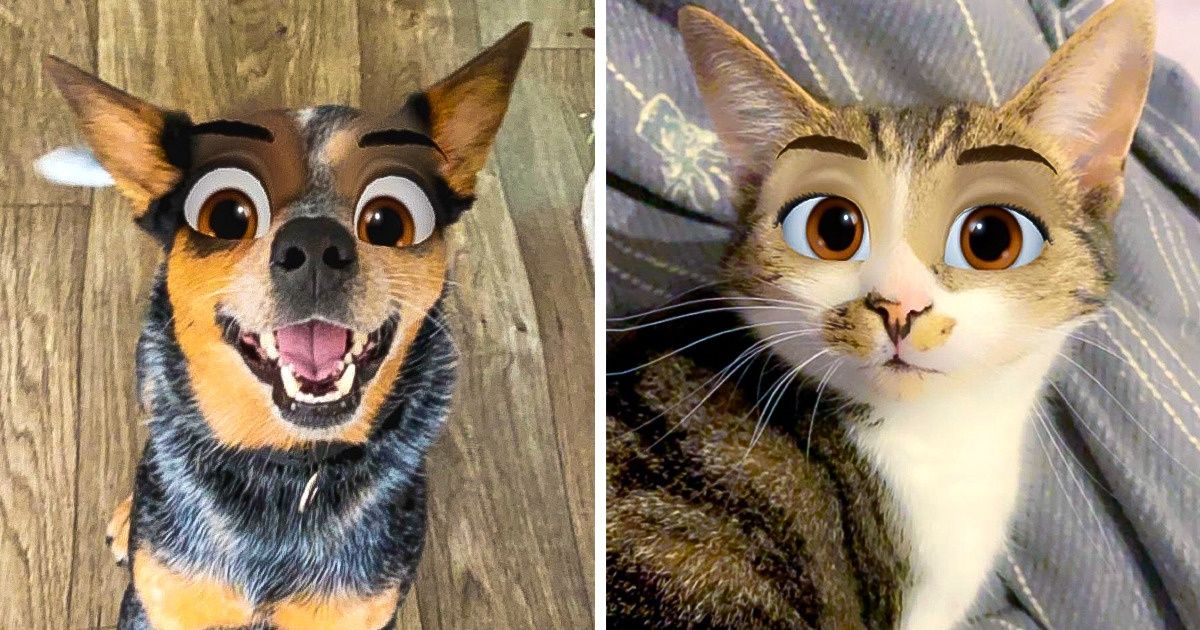 20+ Usuários mostram as mais lindas transformações de seus pets em personagens de animação