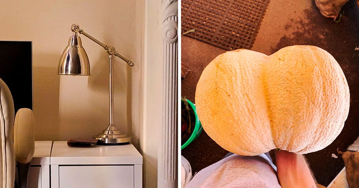 21 Fotos demonstrando que o universo está sempre aprontando suas travessuras