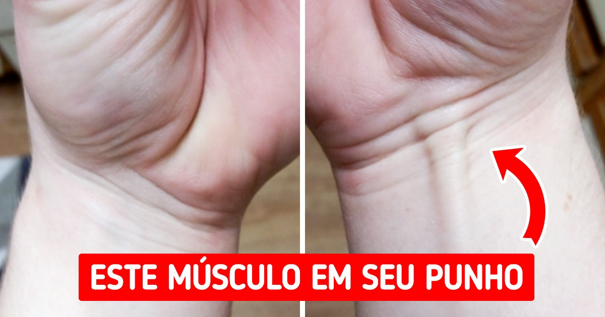 7 Fatos sobre o corpo humano comuns apenas para uma pequena porcentagem de pessoas 7 Fatos sobre o corpo humano comuns apenas para uma pequena porcentagem de pessoas