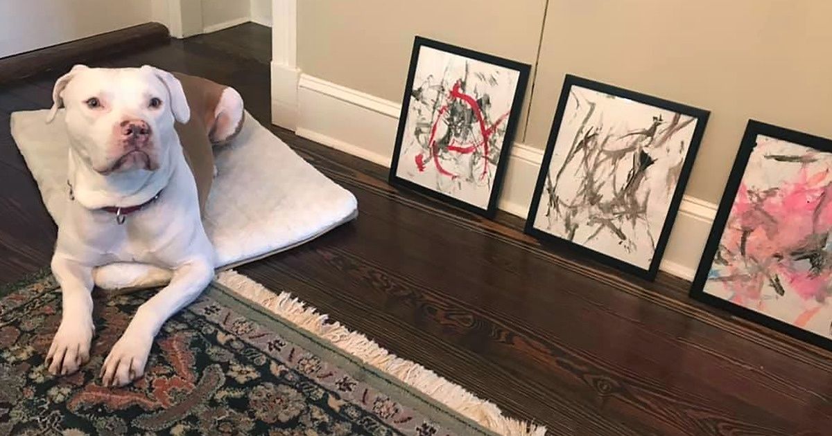 Cão pinta quadros com a cauda (que são leiloados para ajudar outros animais do seu abrigo) Cão pinta quadros com a cauda (que são leiloados para ajudar outros animais do seu abrigo)