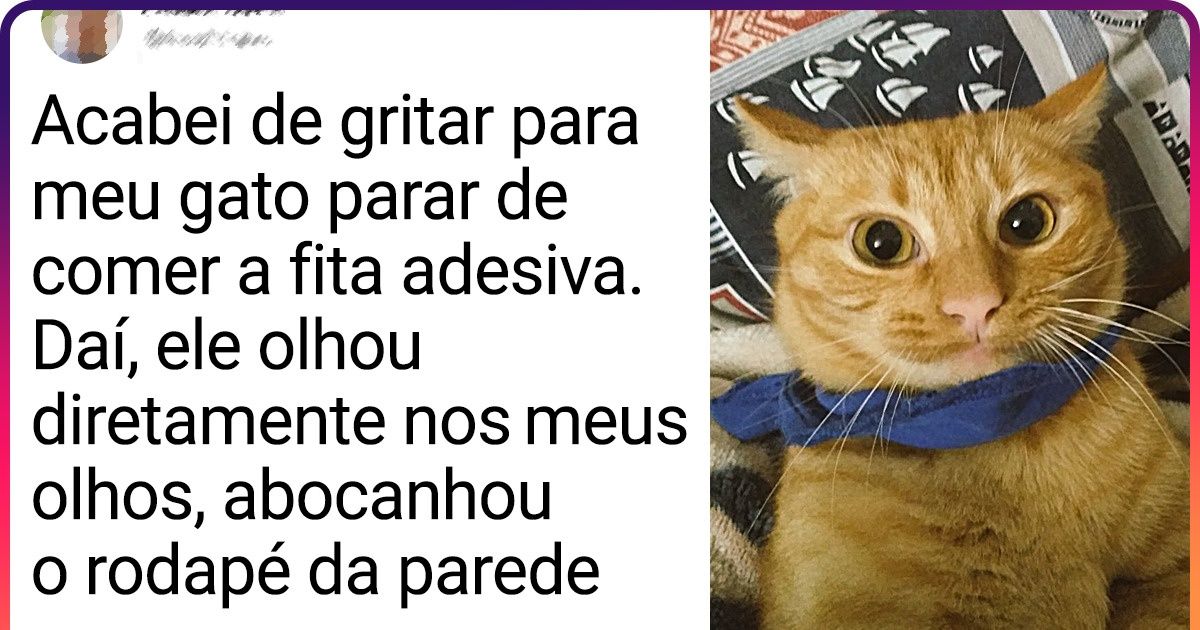 20+ Tuítes que serão compreendidos por aqueles que já acordaram alguma vez com um “miau” às 5h da manhã 20+ Tuítes que serão compreendidos por aqueles que já acordaram alguma vez com um “miau” às 5h da manhã