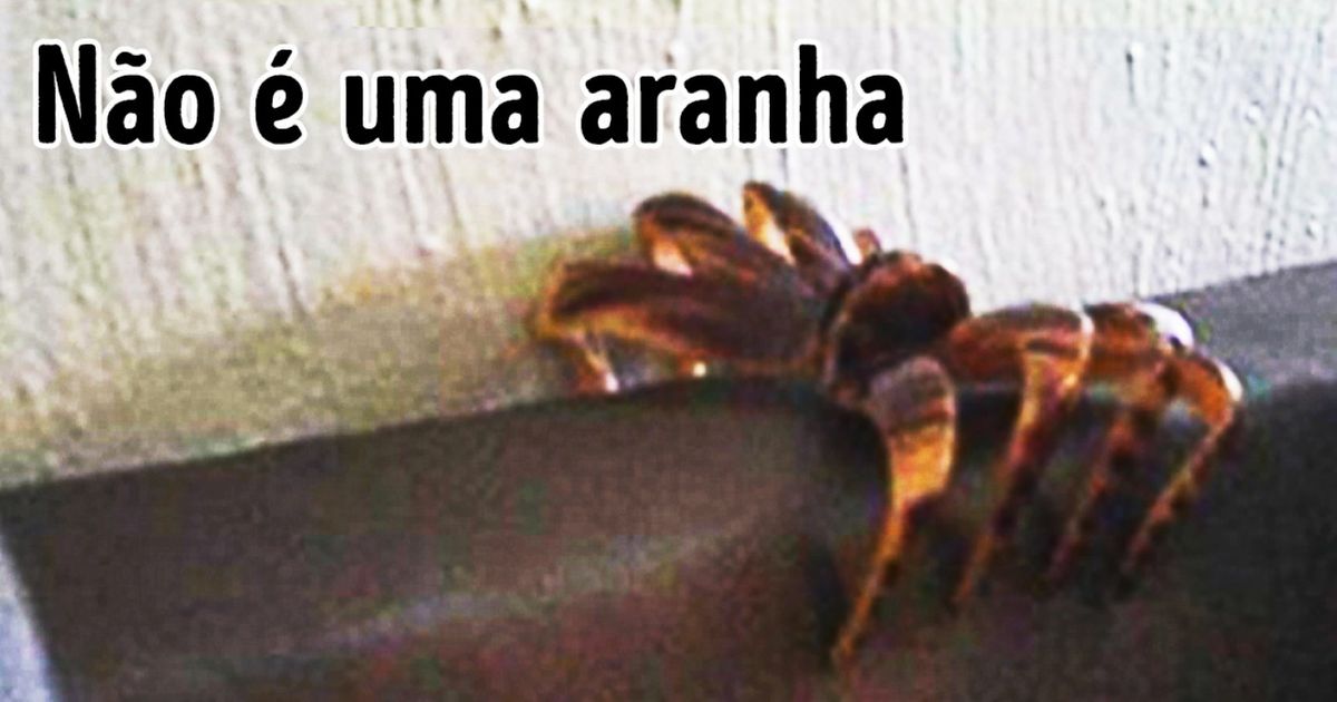 14 Fotos que irão te surpreender