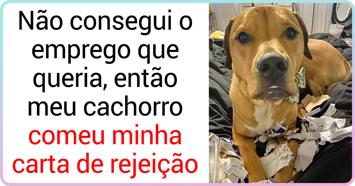 20 Fotos provam que o amor de um cão é um dos mais verdadeiros que existe 20 Fotos provam que o amor de um cão é um dos mais verdadeiros que existe