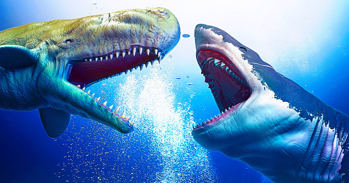 Megalodonte VS. Leviatã: Quem ganharia?