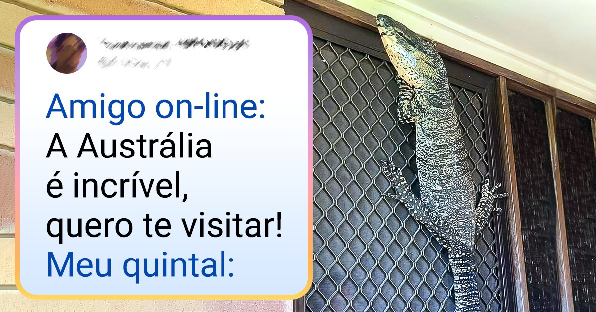 21 Exemplos de que você não precisa sair do seu jardim para presenciar coisas extraordinárias