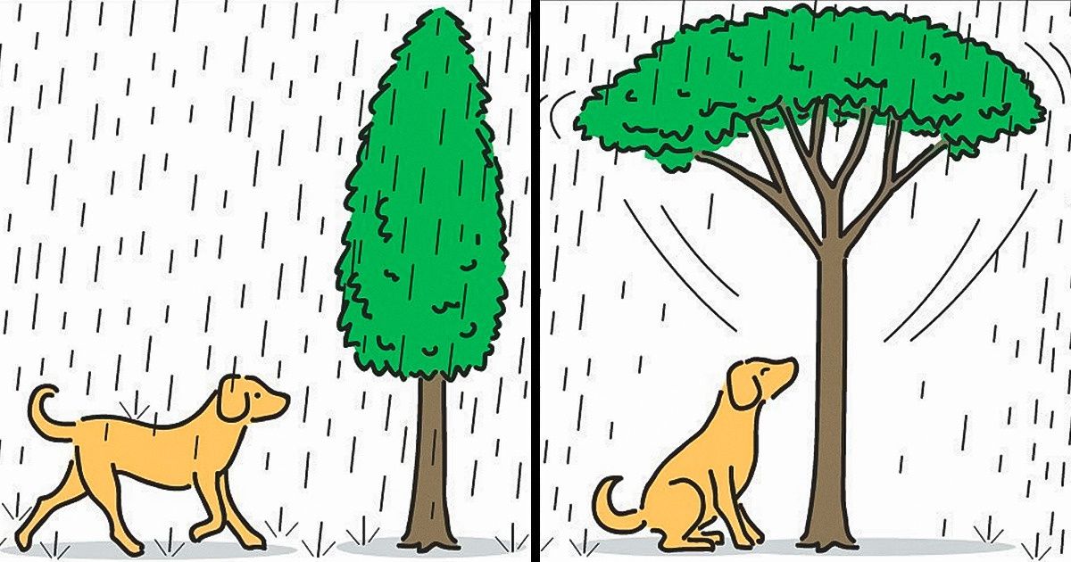 20+ Desenhos criativos feitos por um cartunista da Malásia que foram inspirados nas coisas mais comuns