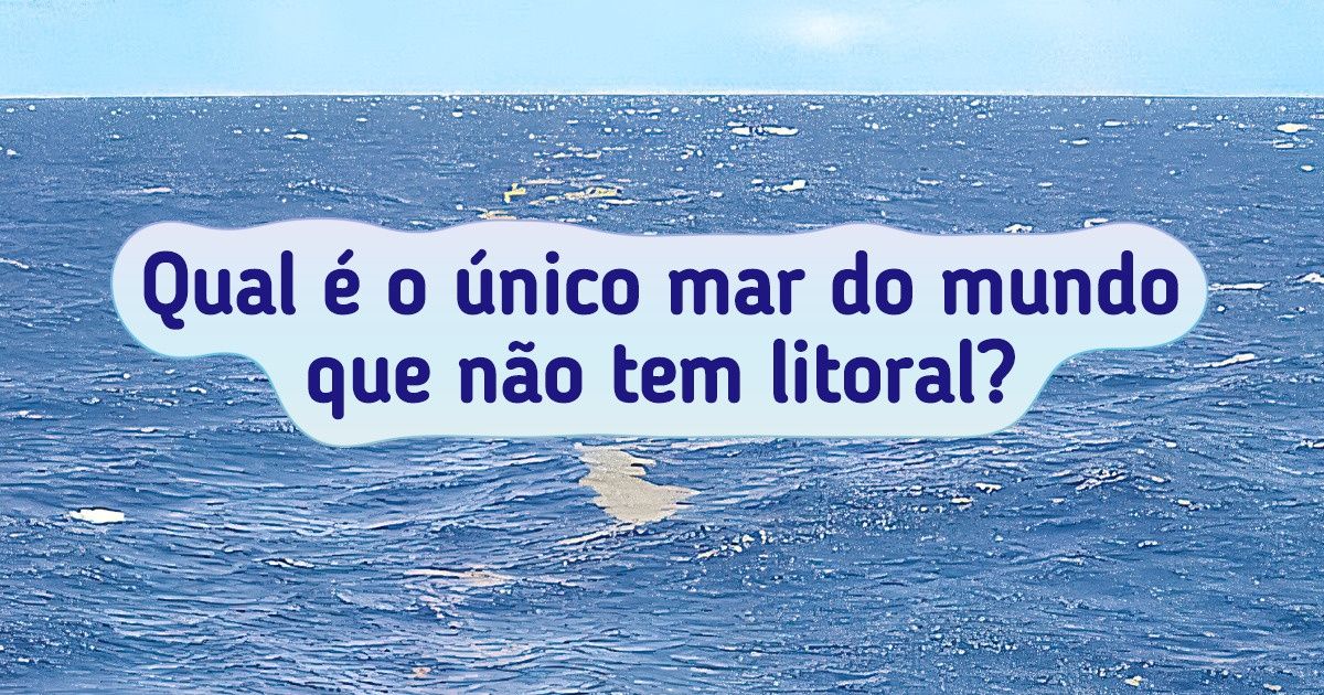 14 Perguntas escolares que podem confundir até mesmo um aluno diligente 14 Perguntas escolares que podem confundir até mesmo um aluno diligente