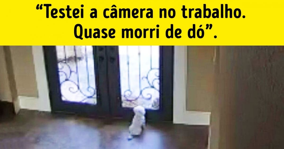 19 Fotos divertidas registradas com câmeras de segurança