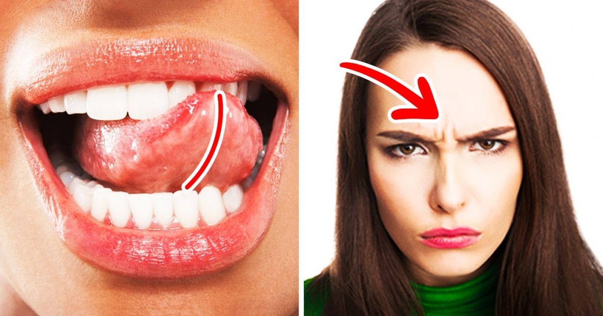 8 importantes partes do corpo de que nunca ouvimos falar 8 importantes partes do corpo de que nunca ouvimos falar