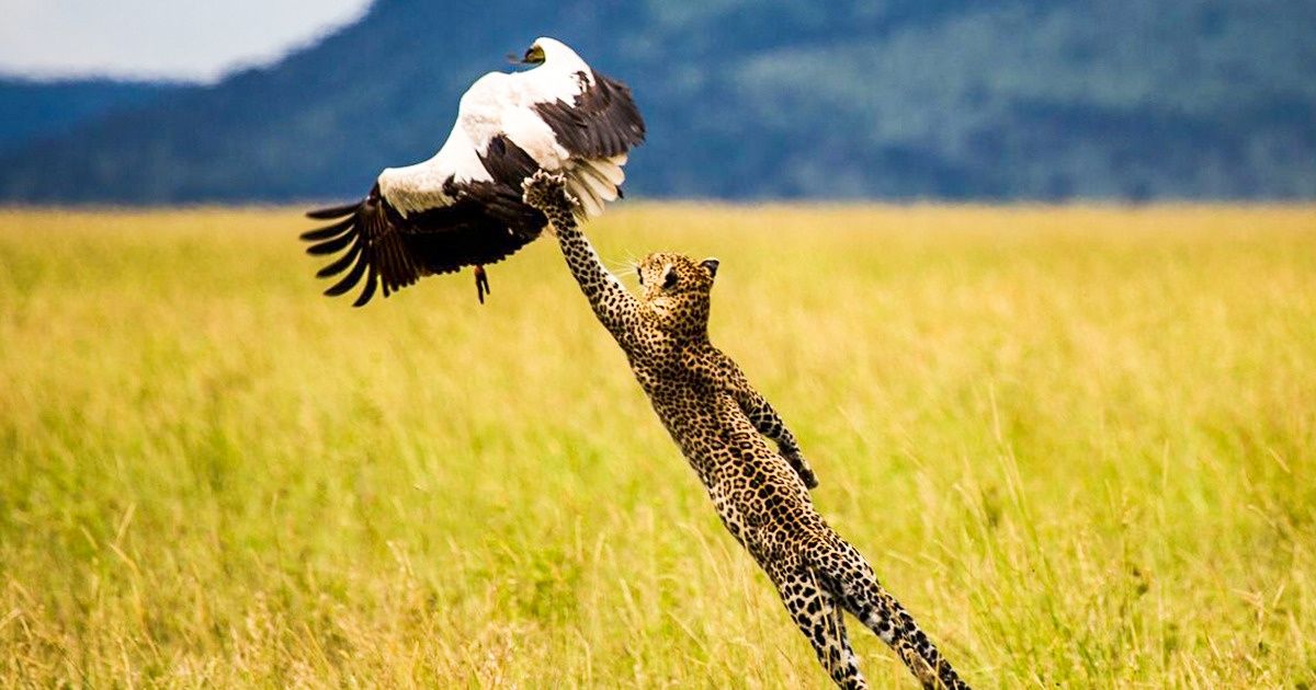 26 Fotos da National Geographic para sentir vontade de viajar