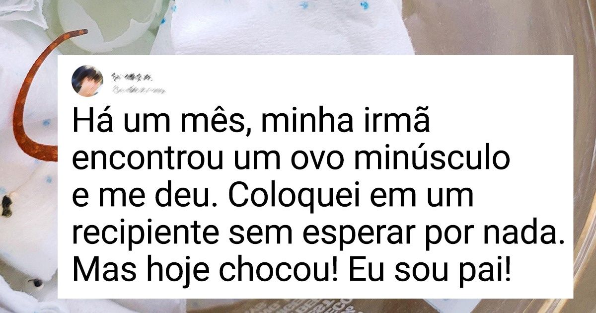 19 Encontros inesperados — e para lá de fofos — com animais 19 Encontros inesperados — e para lá de fofos — com animais