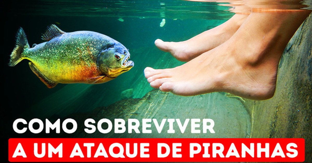 A única maneira de escapar quando piranhas te cercam A única maneira de escapar quando piranhas te cercam
