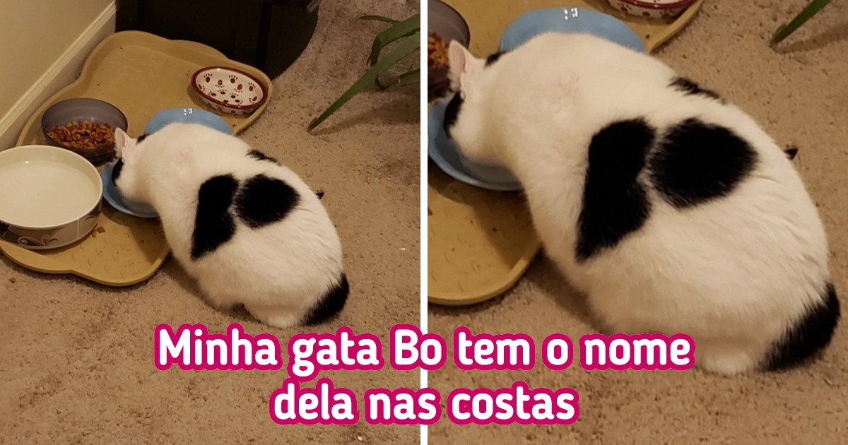15 Vezes em que alguém conseguiu ingressos na primeira fila para o incrível show da vida 15 Vezes em que alguém conseguiu ingressos na primeira fila para o incrível show da vida