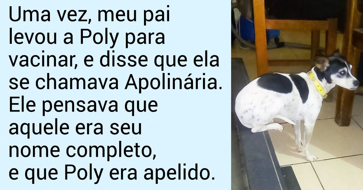 20 Leitores do Incrível revelam os divertidos nomes de seus animais de estimação