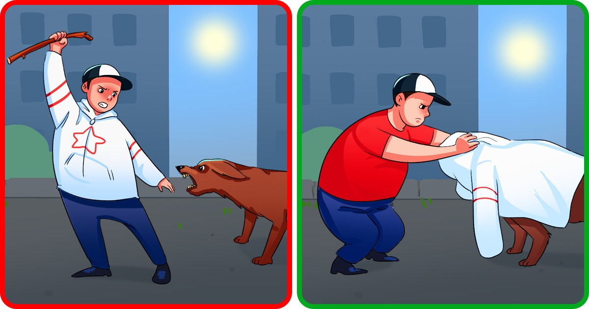 18 Coisas simples que você deve saber num possível ataque de um cão