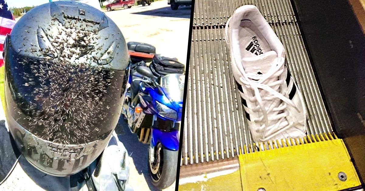 22 Fotos que mostram que a vida pode ser tão cruel quanto uma piada sem graça 22 Fotos que mostram que a vida pode ser tão cruel quanto uma piada sem graça