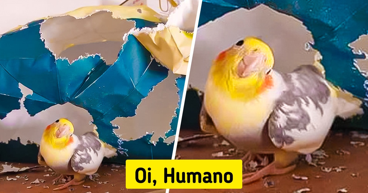 20+ Amiguinhos que “tocaram o terror” e seguiram como se nada tivesse acontecido