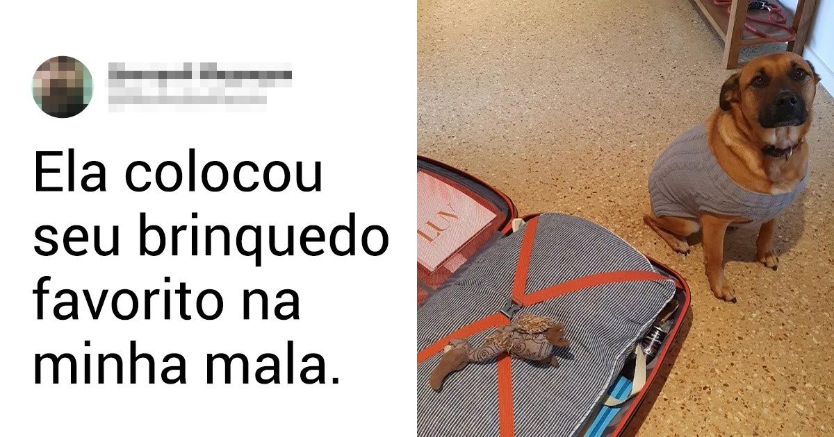 17 Fotos que mostram como os cachorros têm muito o que ensinar sobre o amor