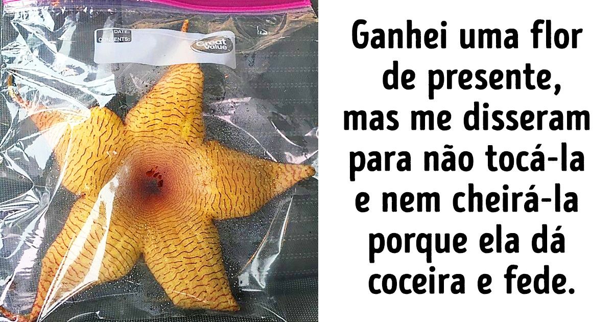 20+ Casos em que o resultado foi bem mais interessante do que a história em si