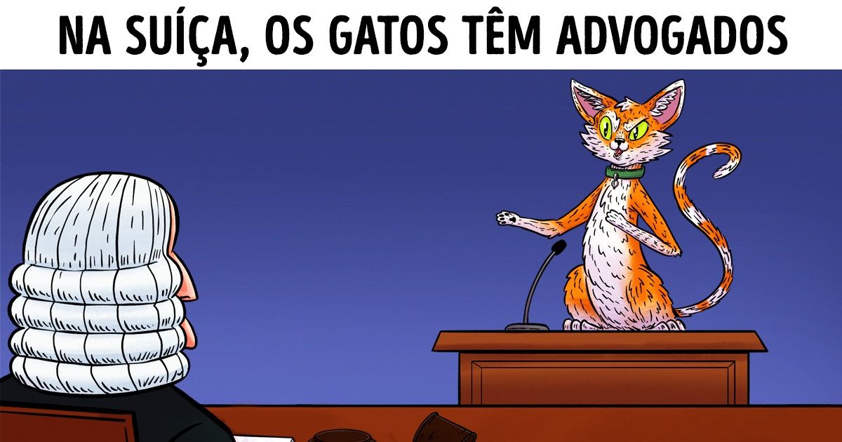 8 Países que concederam direitos aos animais, protegendo-os com a lei