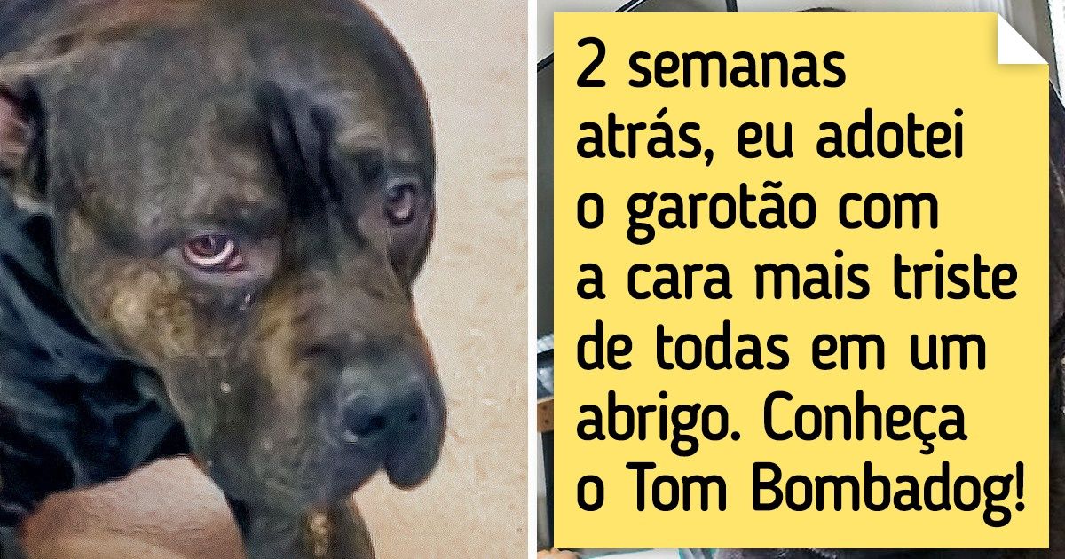 20+ Provas de que nunca é tarde demais para adotar um animal de estimação 20+ Provas de que nunca é tarde demais para adotar um animal de estimação