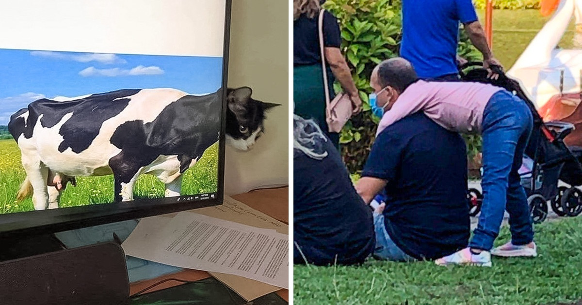 15 Fotos tiradas por acaso que não são o que parecem