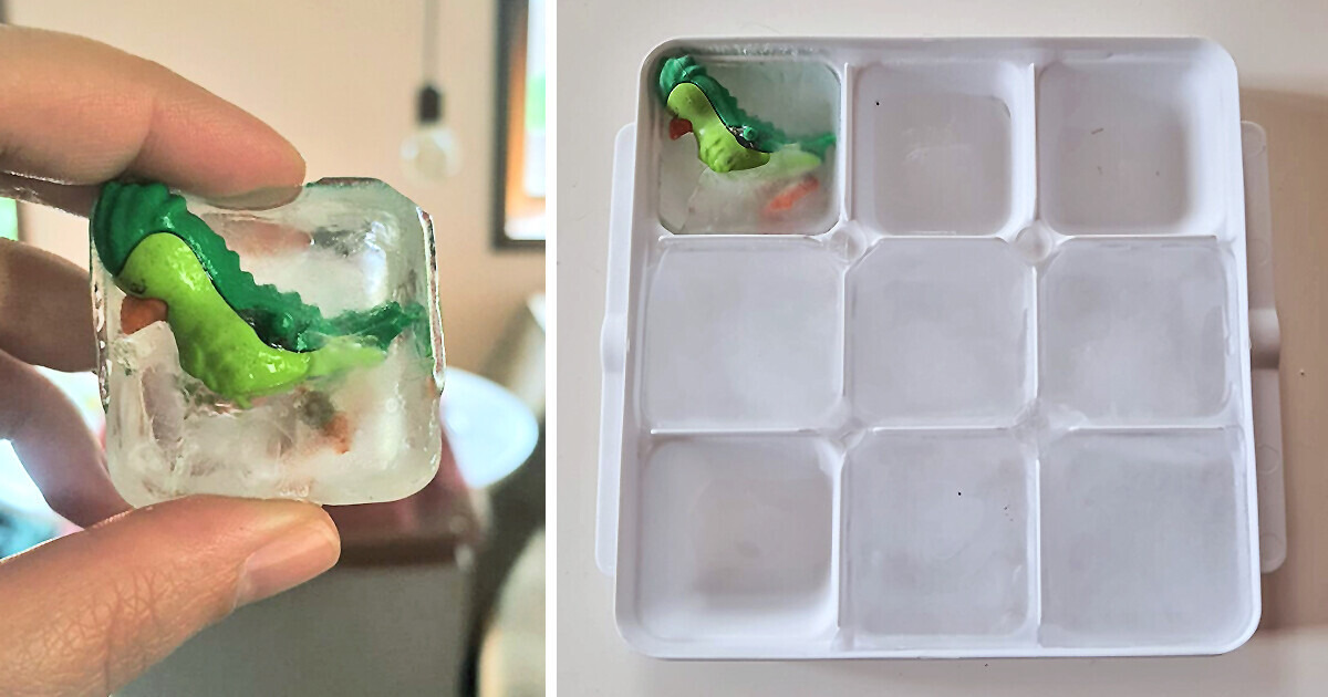 “Cuco Maluco”: como a foto de um gelo inspirou brasileiros a criarem uma nova tradição