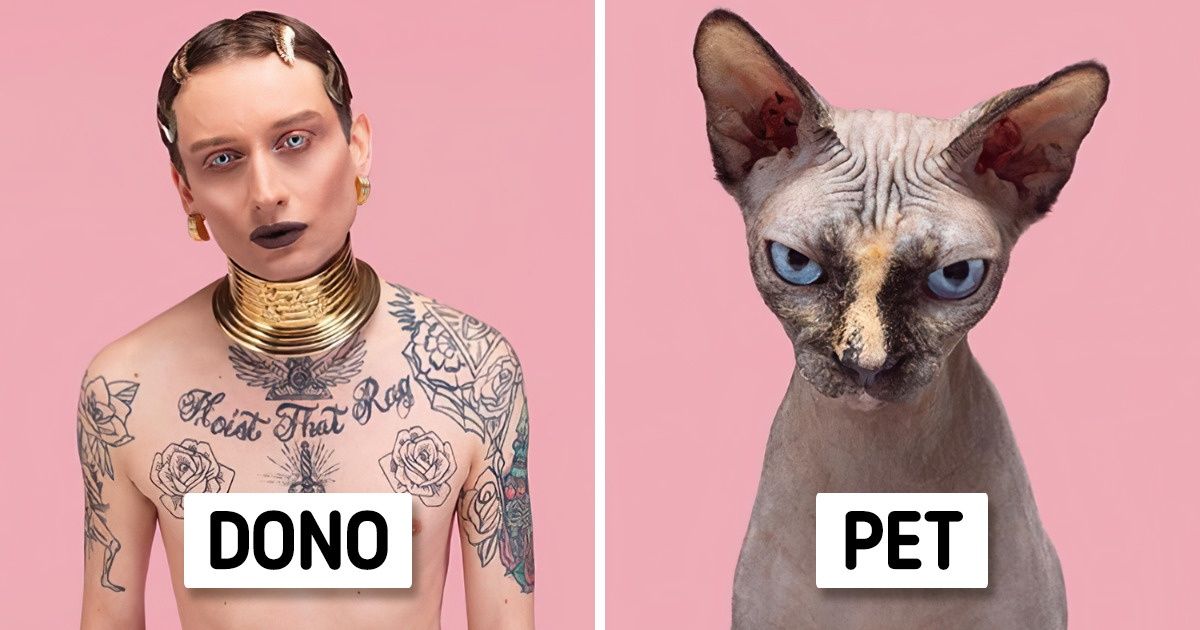 Fotógrafo compara retratos de animais de estimação com retratos de seus donos e o resultado impressiona