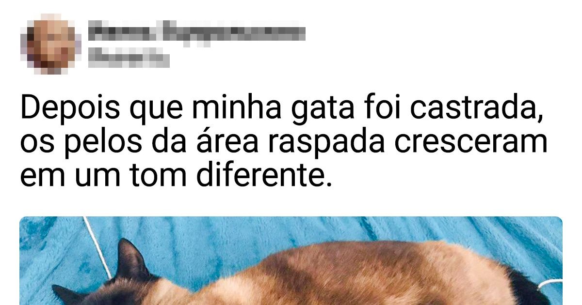 20+ Animais com características e comportamentos peculiares, que são um show à parte