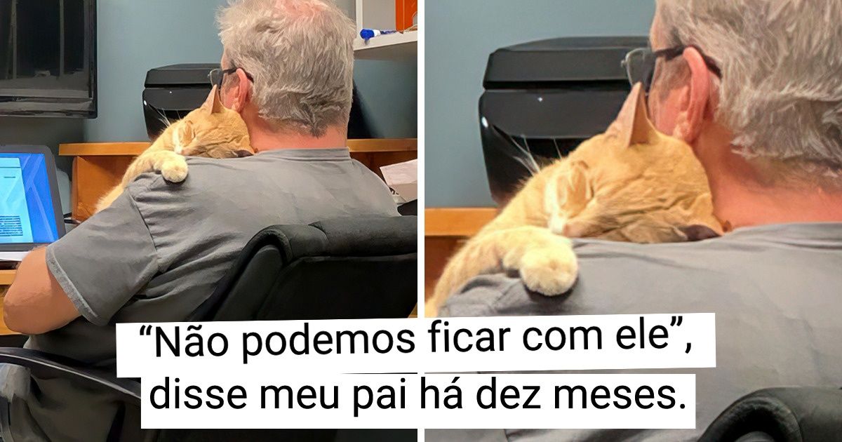20+ Pessoas que disseram que nunca teriam um animal de estimação